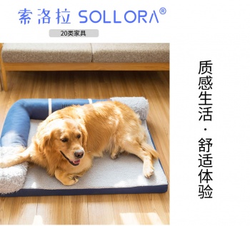 20類(lèi)索洛拉 SOLLORA 