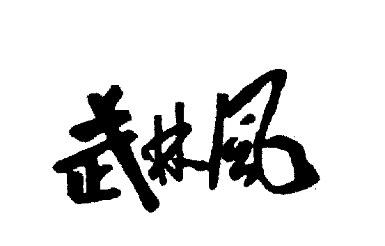 武林風(fēng)電動車商標(biāo)